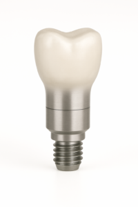 Screw retained Abutment